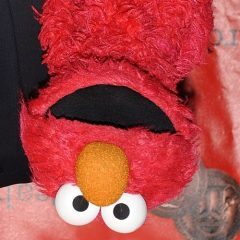 An upside-down furry red muppet with orange nose and large eyes.